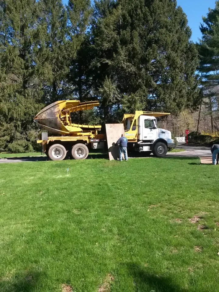 tree on tree planting vehicle