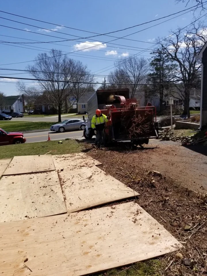 lamay staff using wood chipper
