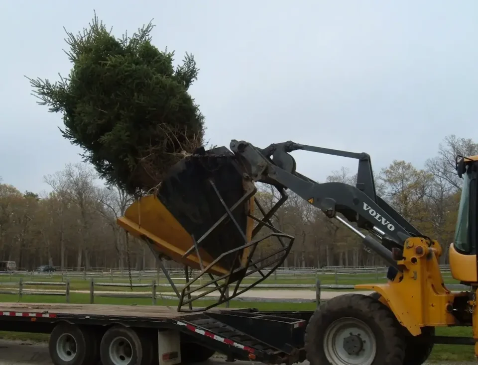 tree planter vehicle