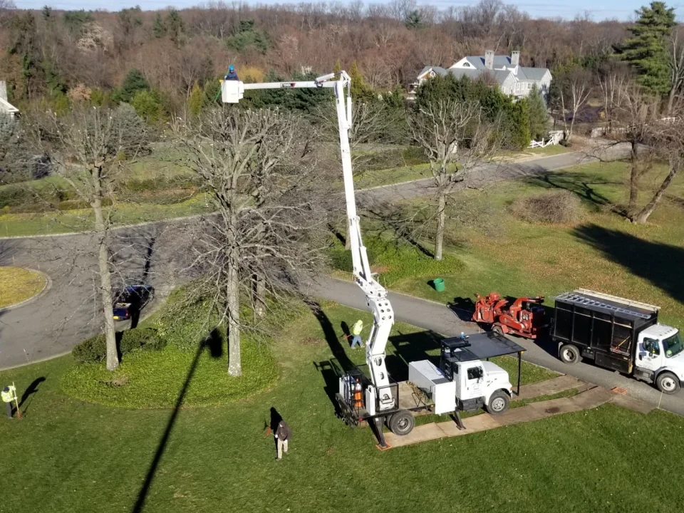 man in a bucket lift at work