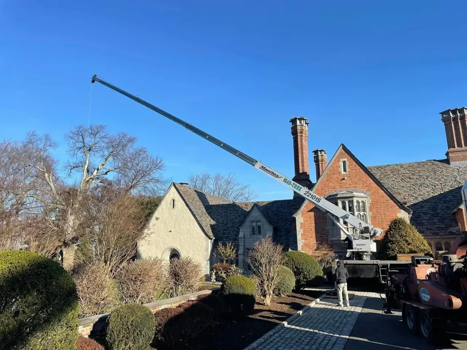 Lamay crane in action