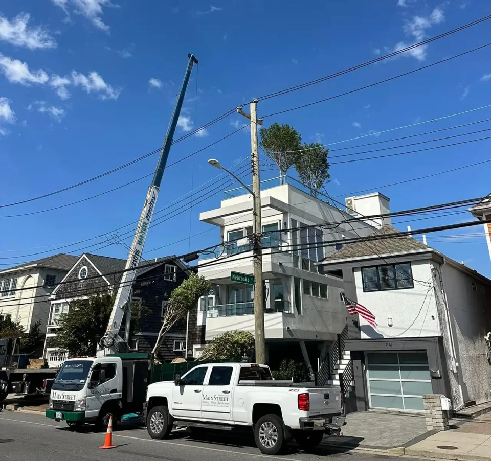 Lamay crane in action