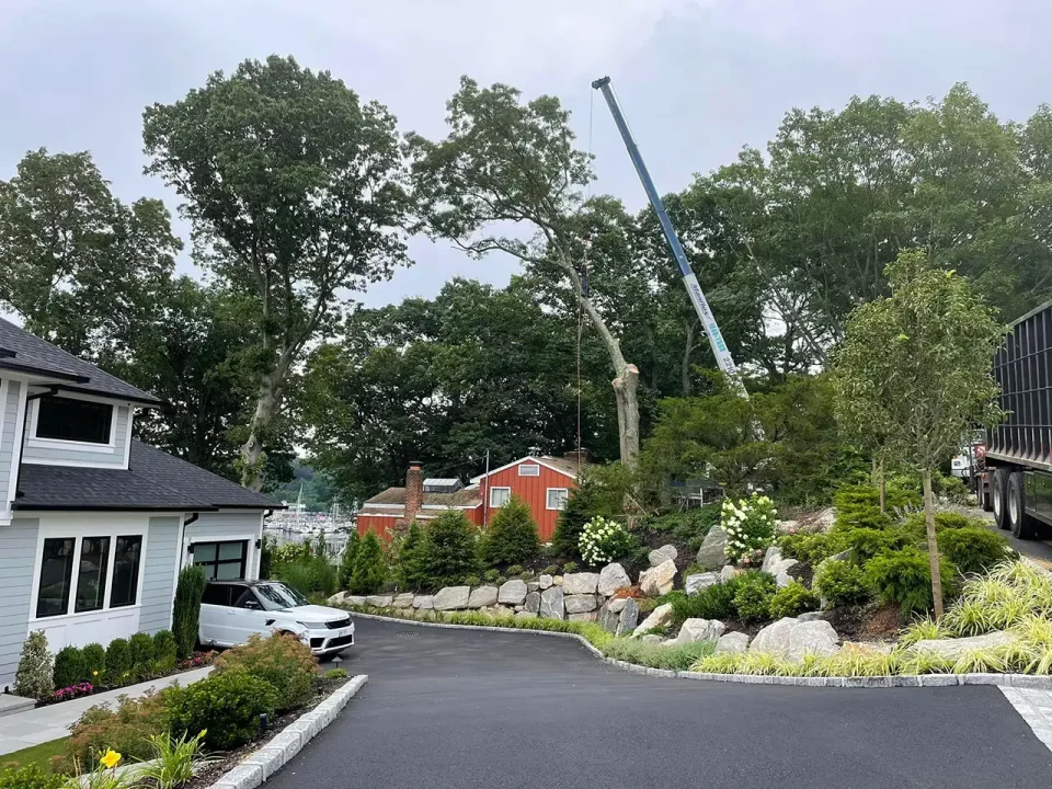 Lamay crane in action