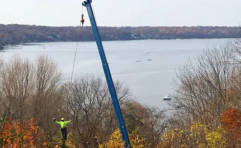 large crane tree service