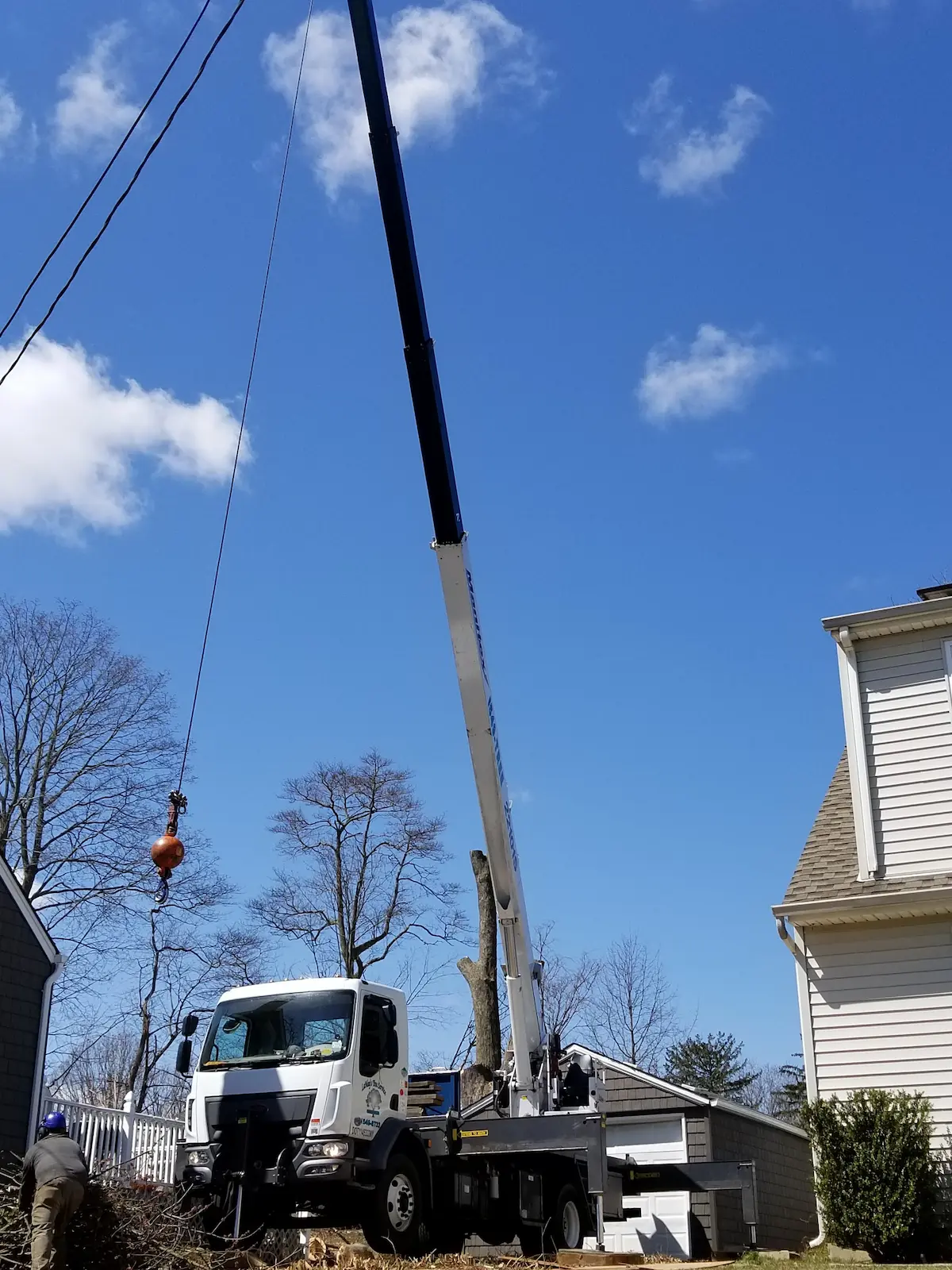 Lamay Tree Service Crane